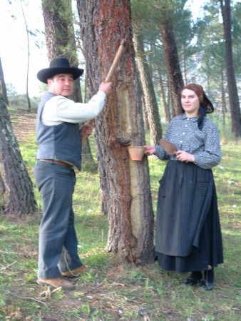 O casal de resineiros